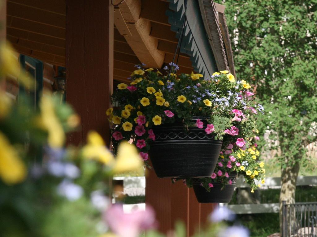 Ouray Inn Ngoại thất bức ảnh